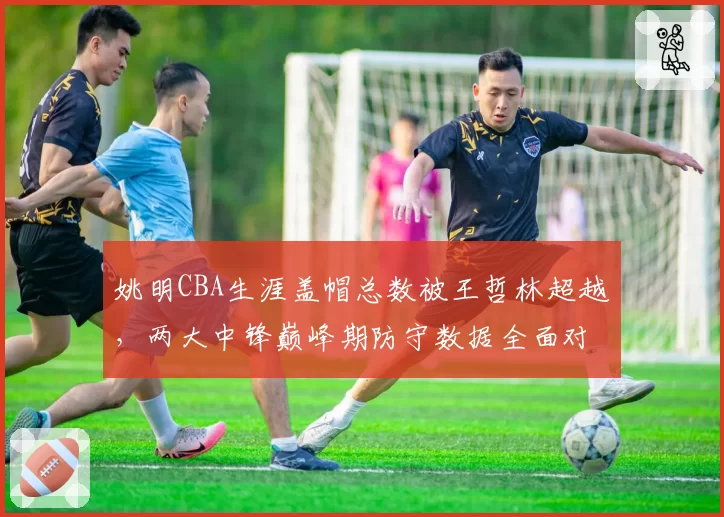 姚明CBA生涯盖帽总数被王哲林超越，两大中锋巅峰期防守数据全面对比