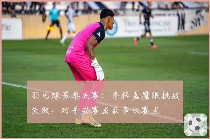 羽毛球男单决赛:李梓嘉鹰眼挑战失败,对手安赛龙获争议赛点
