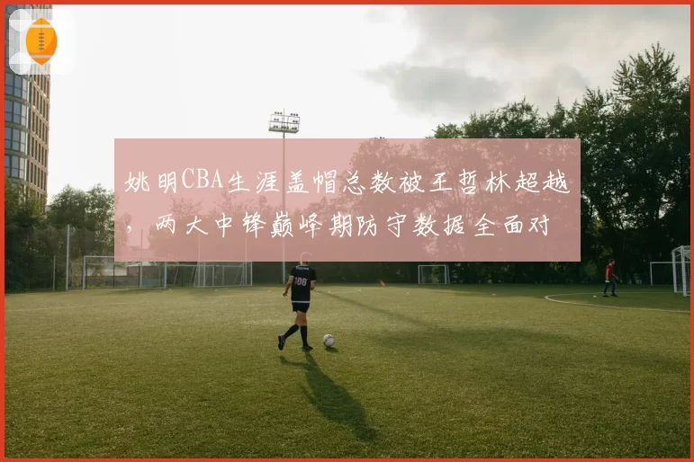 姚明CBA生涯盖帽总数被王哲林超越，两大中锋巅峰期防守数据全面对比