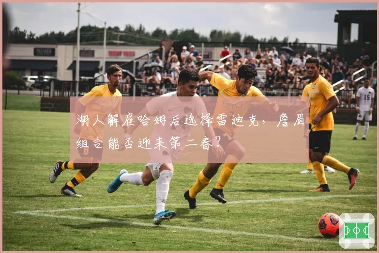 湖人解雇哈姆后选择雷迪克,詹眉组合能否迎来第二春?